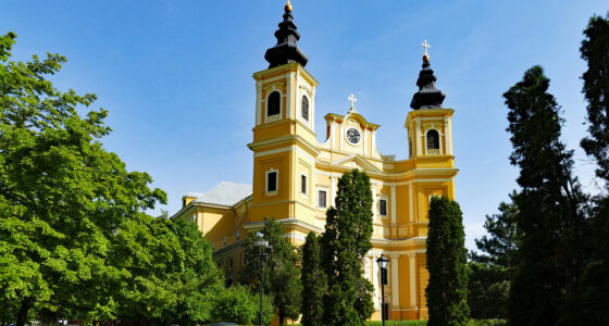 Oradea Basilica